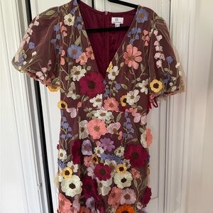 Floral Embroidered Dress